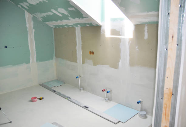 Best Mold-Related Health Consultation  in Bloomington, IL