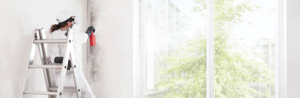 Best Forensic Mold Investigation  in Bloomington, IL