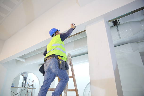 Best Residential Mold Inspection & Testing  in Bloomington, IL
